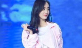 杨紫成毅最新大爆料,娱乐圈背后的真实故事