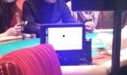 狗崽爆料汪峰视频播放,汪峰神秘视频曝光，背后真相引人猜测